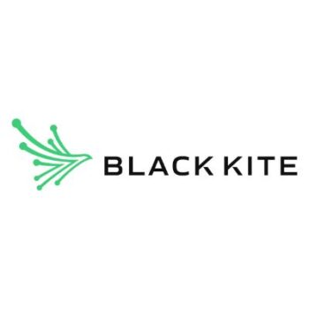 Black Kite