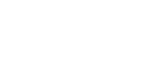 siberX Logo White